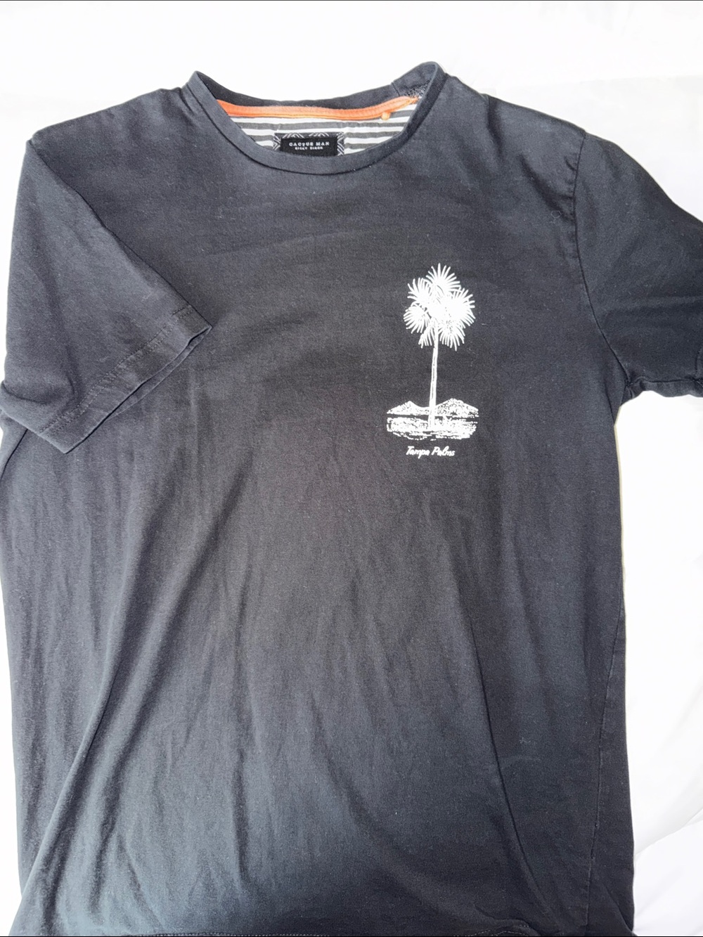 Cactus Black Short-Sleeve Palm Graphic Tee